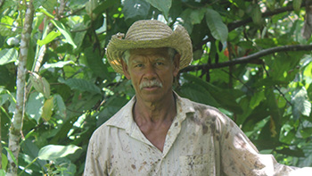Manuel Guerrero (Mañe)