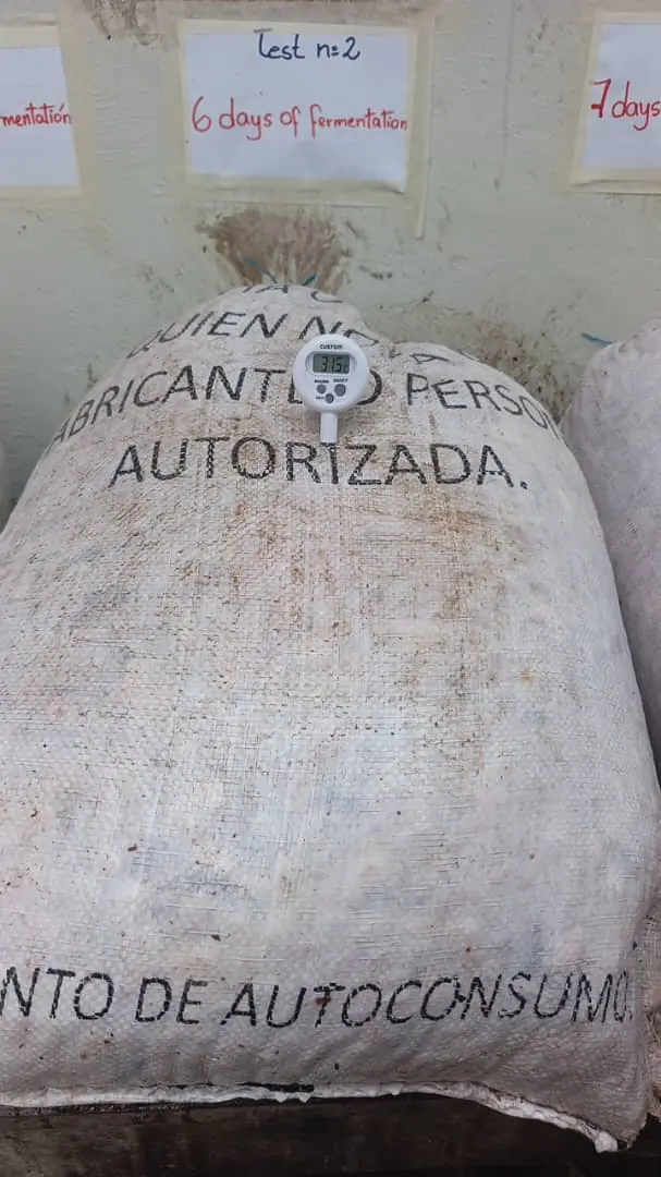 fermentation protocol