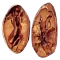 El Tesoro seed