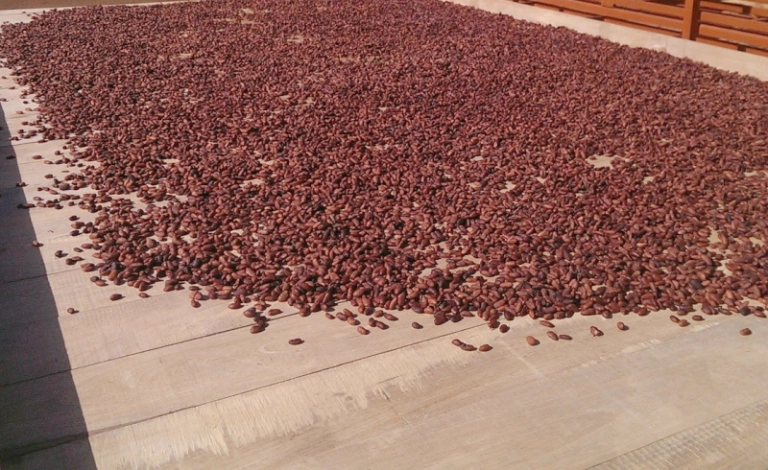 drying protocol