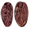 El Tesoro seed